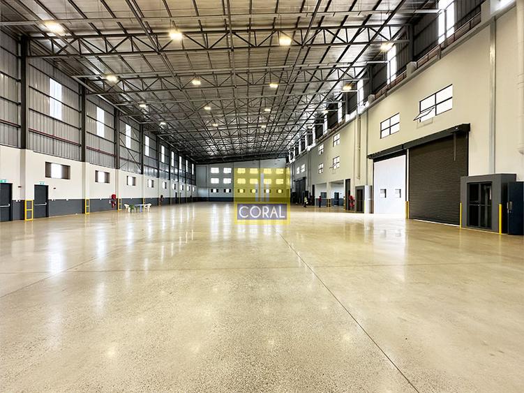 Warehouse in Tatu City, Tatu City