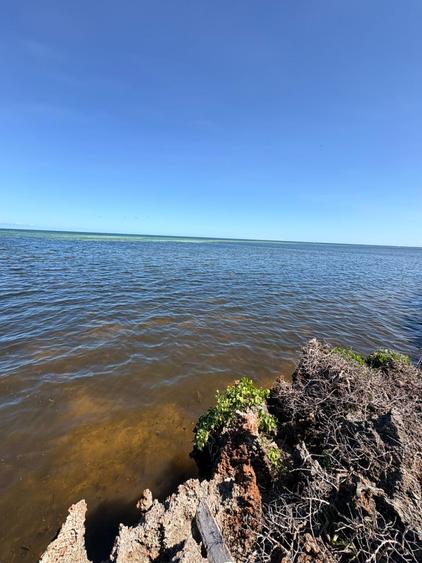 2 ac Land at Watamu Beach- Seafront - Więcej