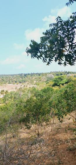 Land in Kilifi - Bild 5