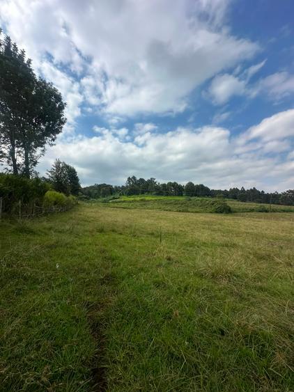 Residential Land in Tigoni, Tigoni