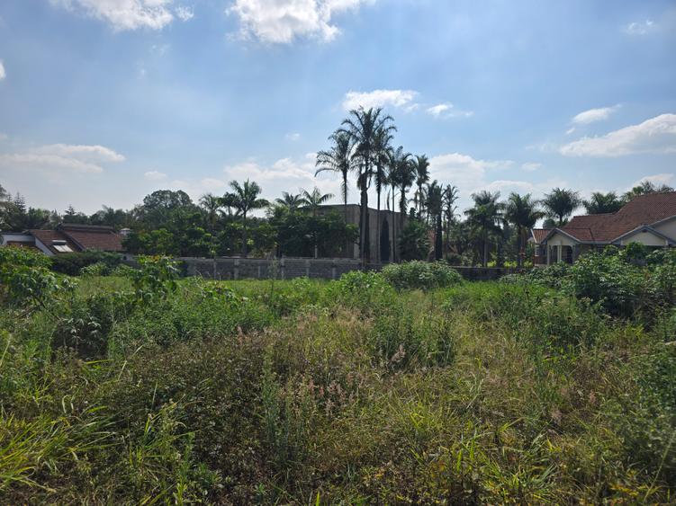 Land in Runda - View 6