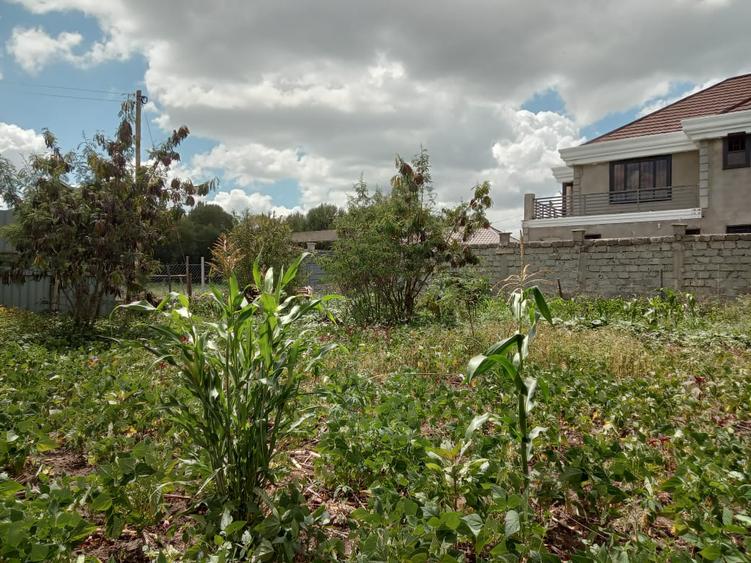 Land in Kitengela - Widok 3