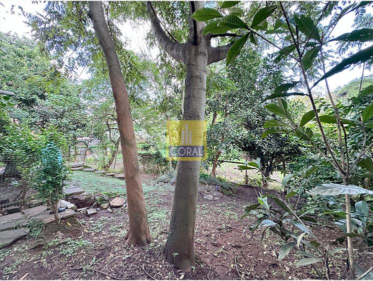 Land in Rhapta Road - Aanzicht 5