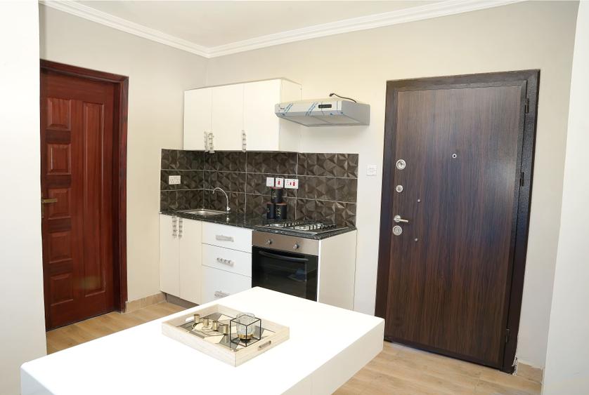 Studio Apartment with En Suite at Chady Road - Widok 2