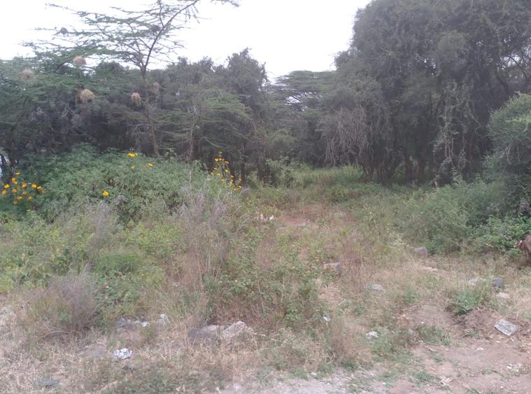 0.25 ac Residential Land at Maasai Lodge Road - Ansicht 4