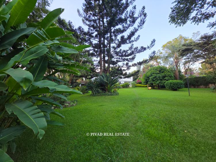 0.5 ac Land in Thigiri - Bild 3