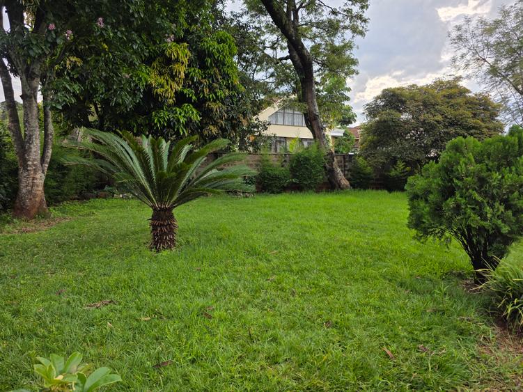 Commercial Land in Lavington - Widok 2