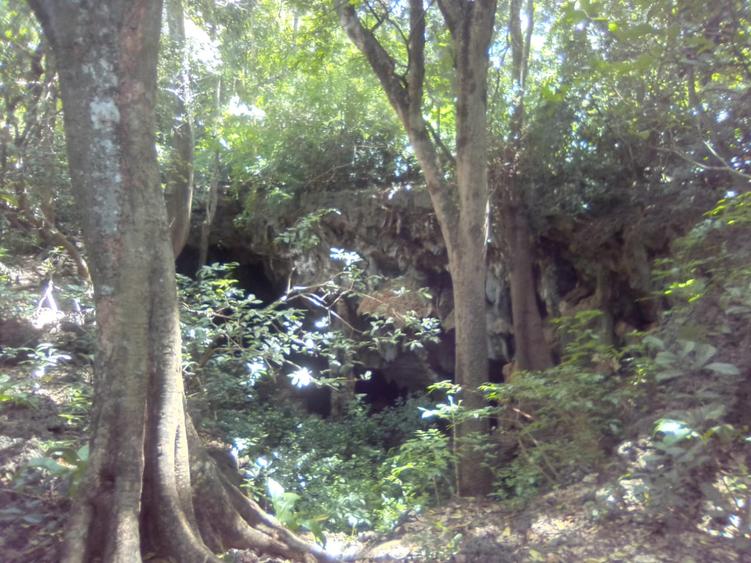 Commercial Land in Vipingo - More