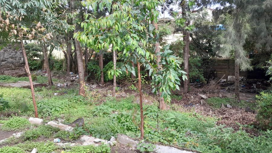 2.25 ac Commercial Land at Rongai - Vista 6