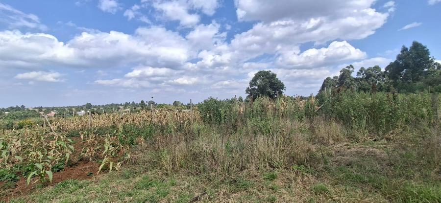 0.125 ac Land in Kamangu - Ansicht 3