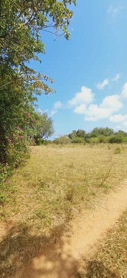 Land in Kilifi - Fler