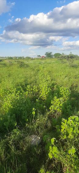 Residential Land at Kag University - Widok 2