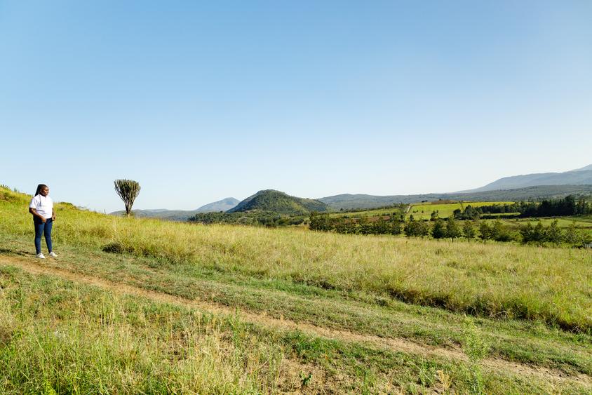 Residential Land at Moi South Lake Road - Mehr