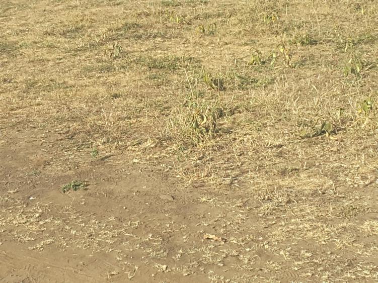 17 ac Land in Ongata Rongai - Widok 4