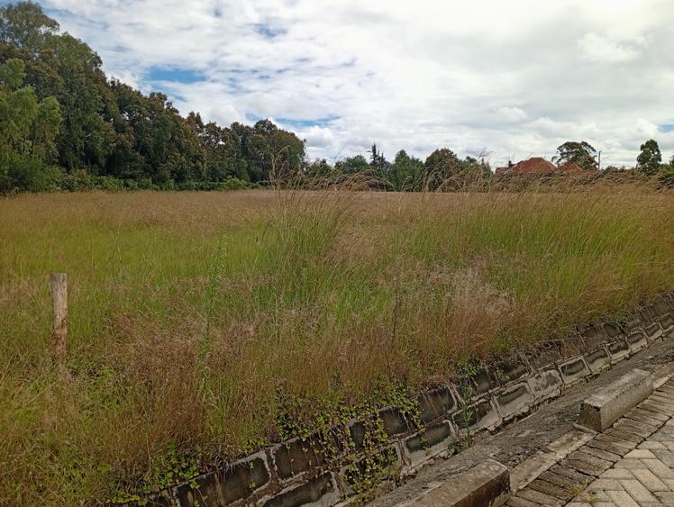 Land in Karen - Ansicht 2