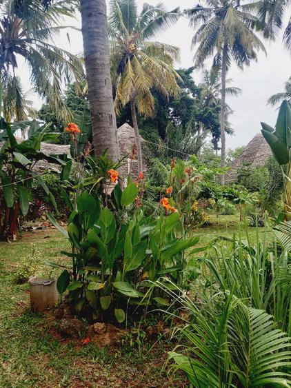 3 Bed Villa with En Suite in Mtwapa - Widok 4