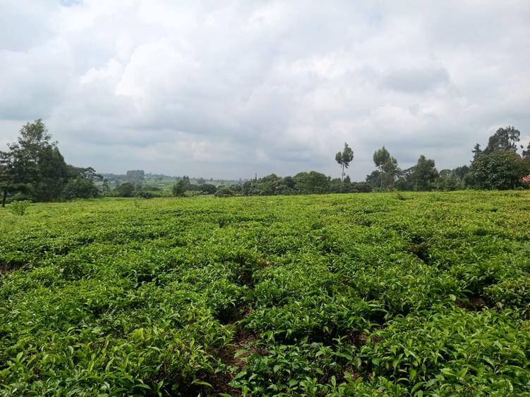 1 ac Land at Riara Ridge, Tigoni