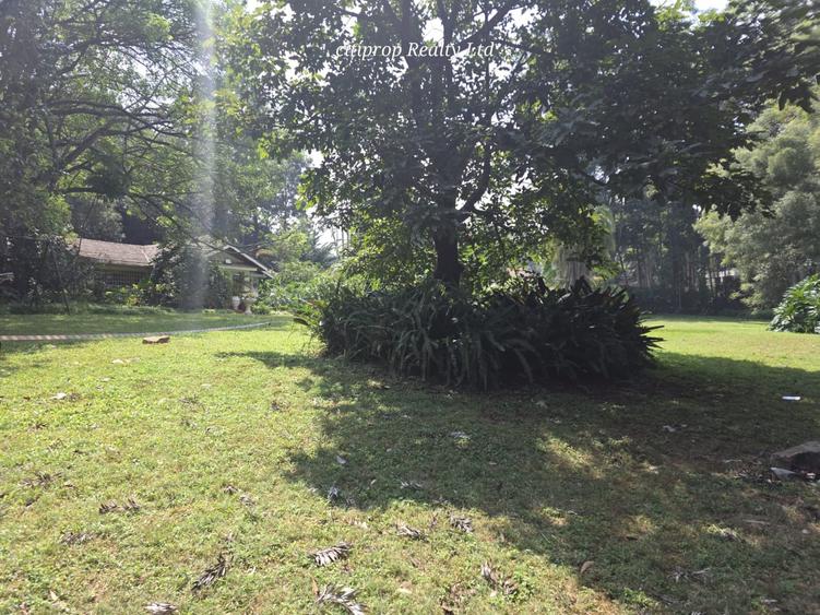 Residential Land in Kitisuru - Widok 3