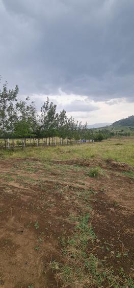 Residential Land at Moi South Lake Road - Ansicht 4