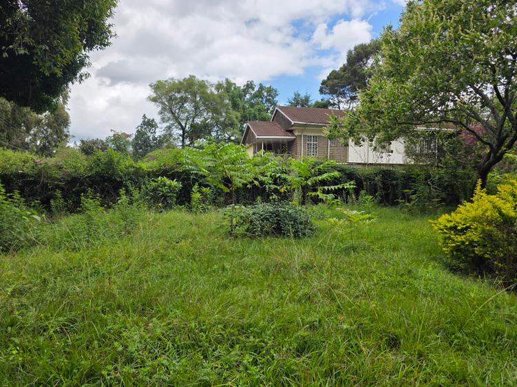 Commercial Land in Lavington - Widok 5