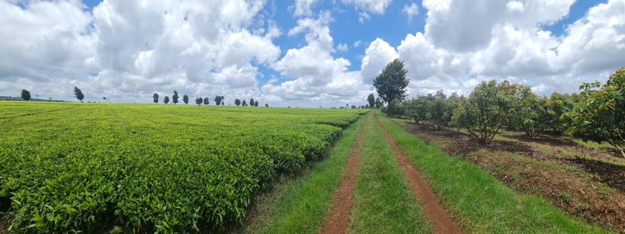 420 ac Land at Kiambu - View 6