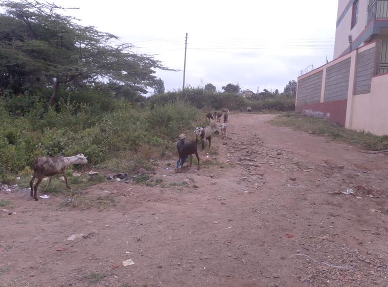 0.25 ac Residential Land at Maasai Lodge Road - Mehr