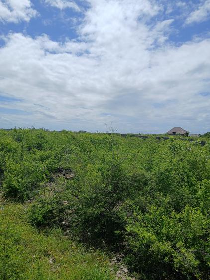 Land in Watamu - Widok 2