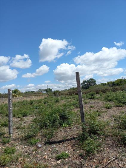 0.5 ac Residential Land in Shanzu - Widok 5