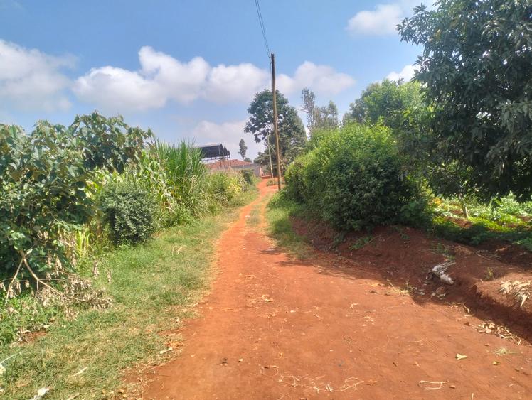 0.5 ac Land in Kitisuru - Widok 4