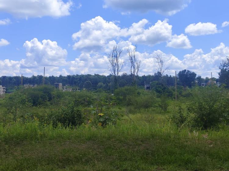 Land in Ruiru - Więcej