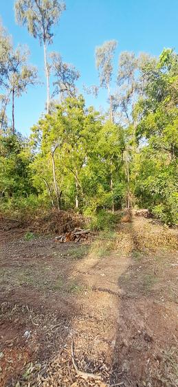 Land at Malindi Mombasa Road - Widok 6