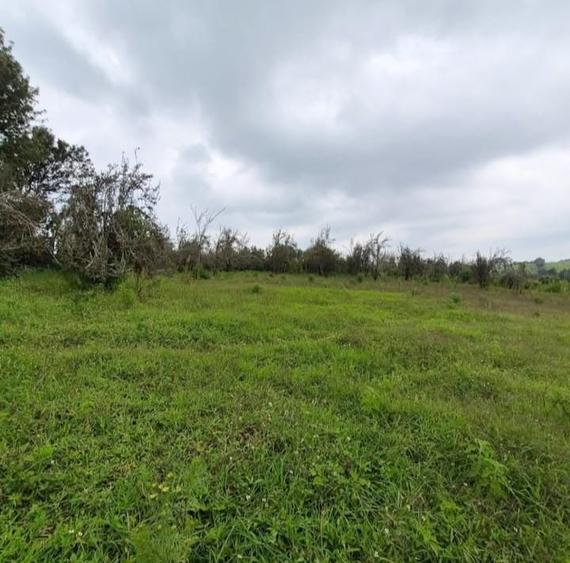 3 ac Land at Nazareth Road - Aanzicht 2