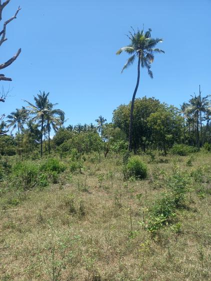 40 ac Residential Land in Kilifi - Widok 4