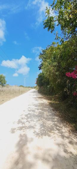 Land in Kilifi - Bild 4