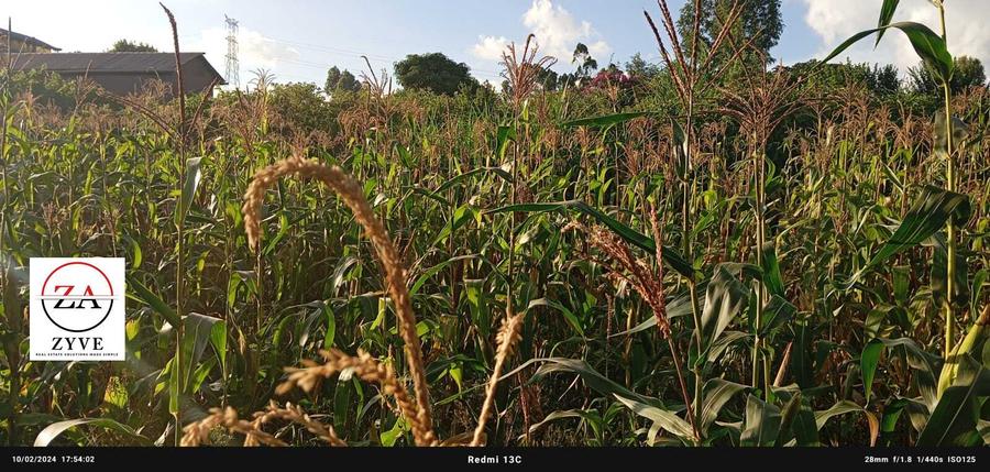 0.25 ac Land at Nduota : Banana - Nazareth Road