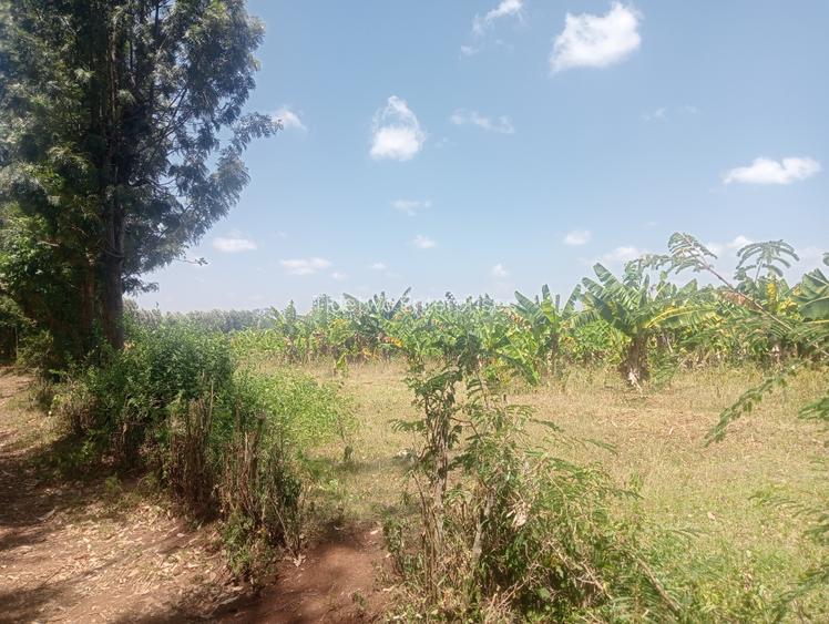 Land in Murang'a County