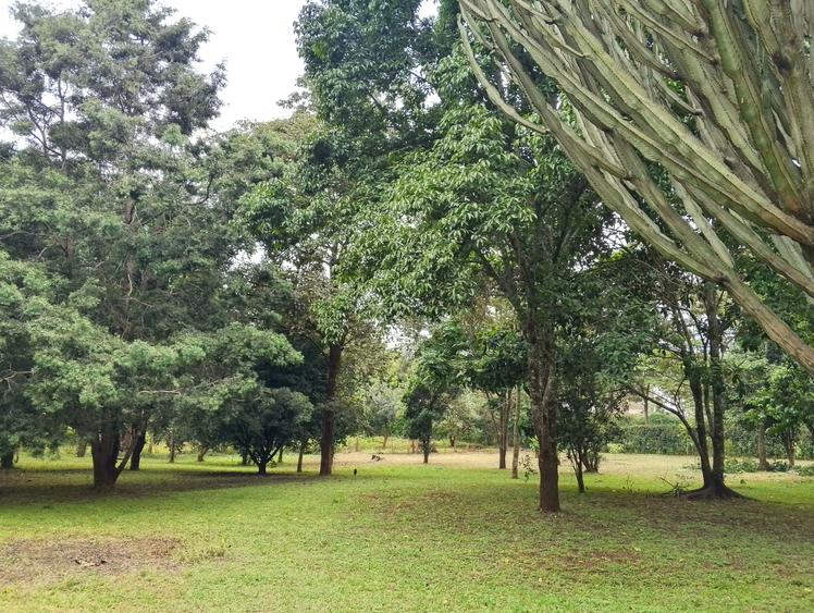 land in karen