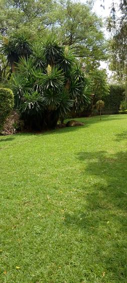 0.475 ac Land in Ngong Road