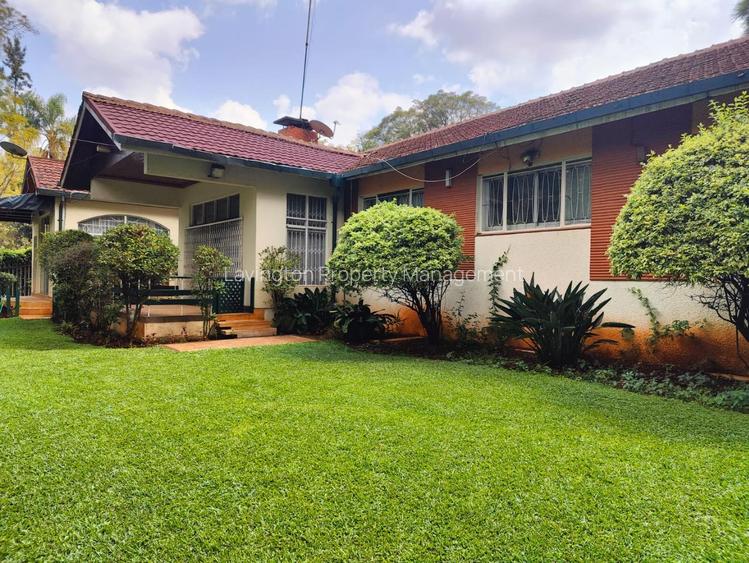 0.8 ft² Commercial Land at Majimzuri