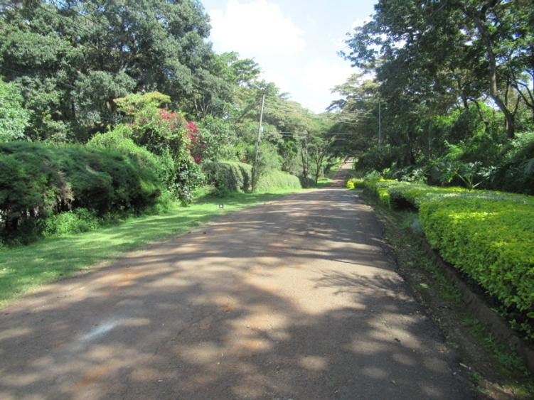 Residential Land at Mwitu Estate