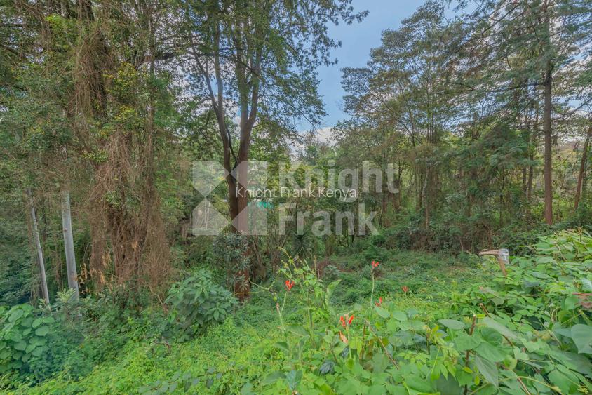 0.49 ac Land at Kitisuru Road