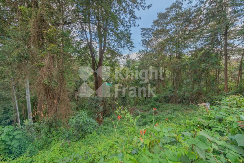 0.5 ac Land at Kitisuru Road