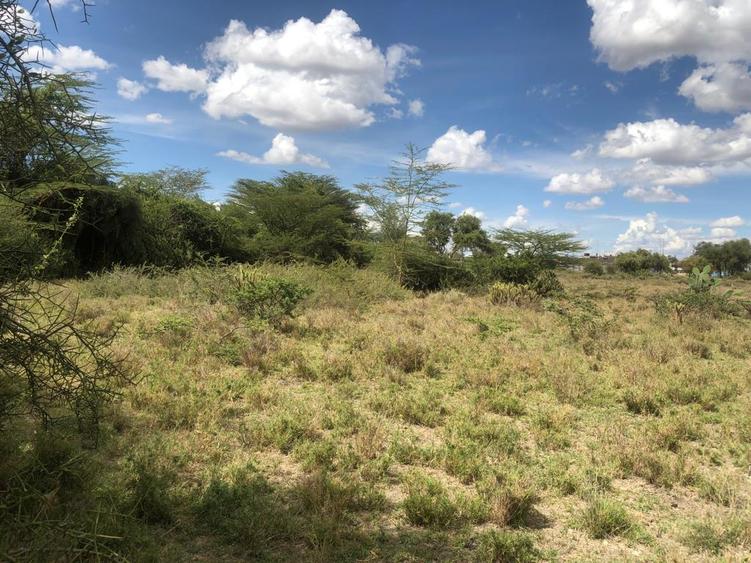 Residential Land at Kaputei