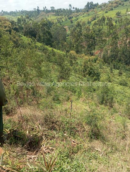 Residential Land at Runda