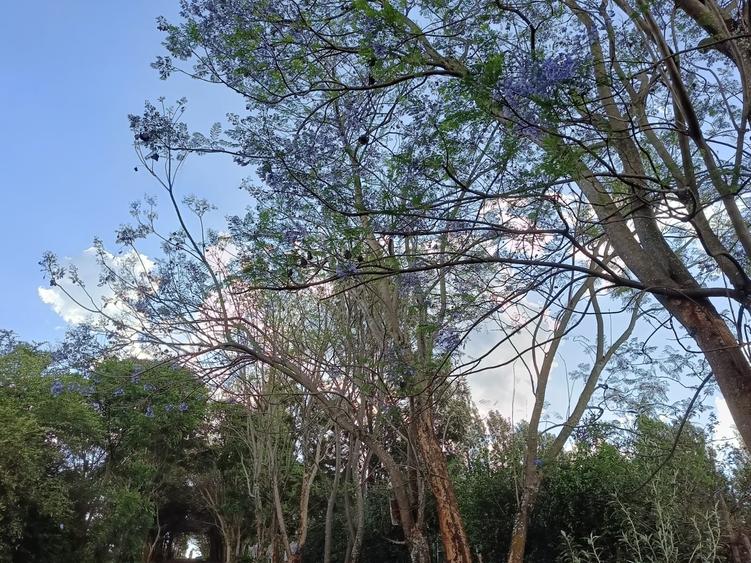 Residential Land at Kiukenda