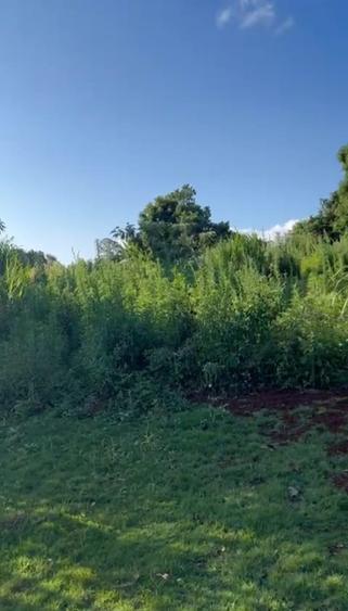 4 ac Land at Riara Ridge, Tigoni