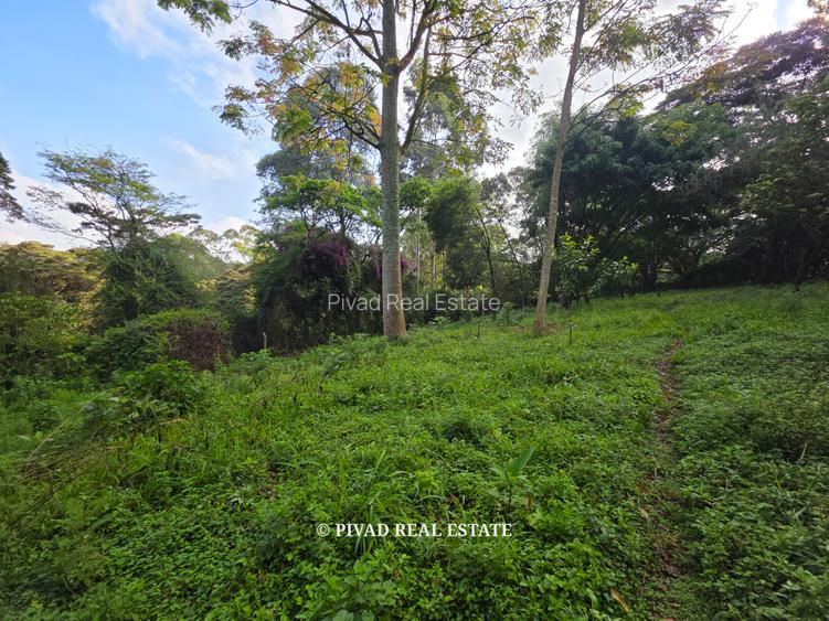 4.8 ac Land in Lower Kabete