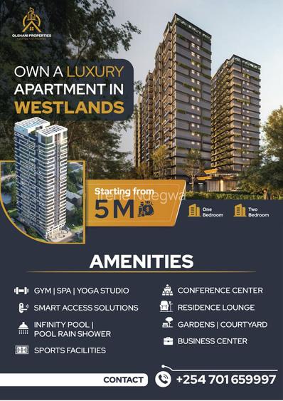 Serviced 1 Bed Apartment with En Suite at Peponi Road