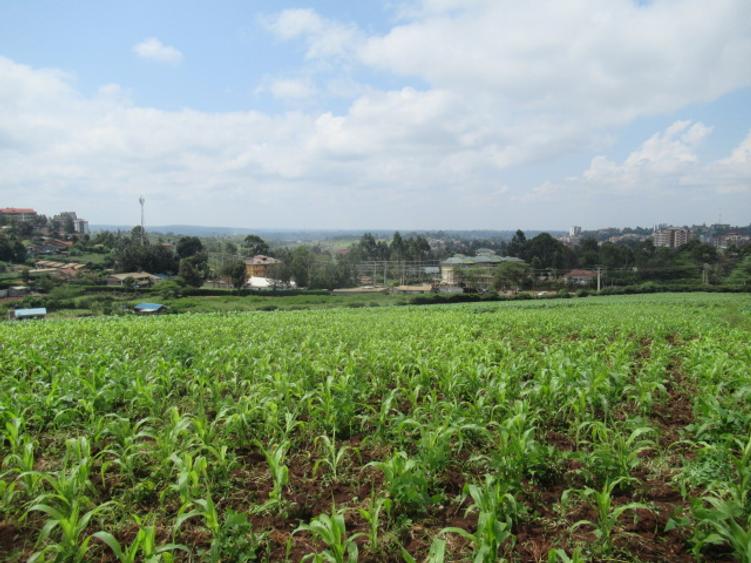 Land at Ngong Town