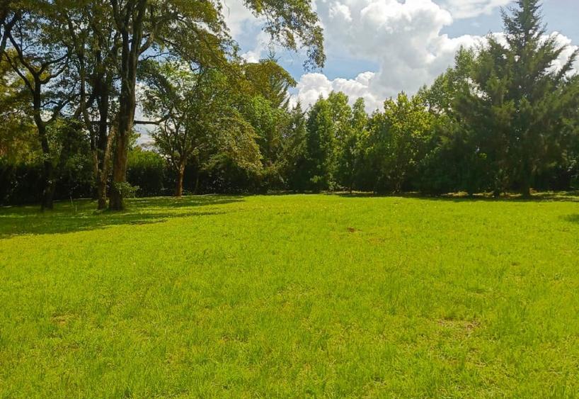 1 ac Residential Land at Three Dee Lane